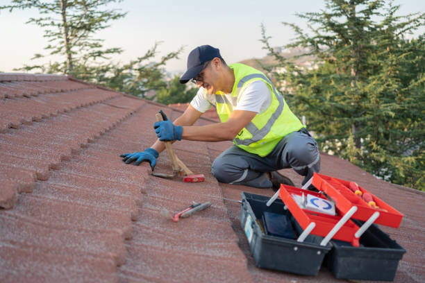 Best Roof Replacement Cost  in Albany, WI